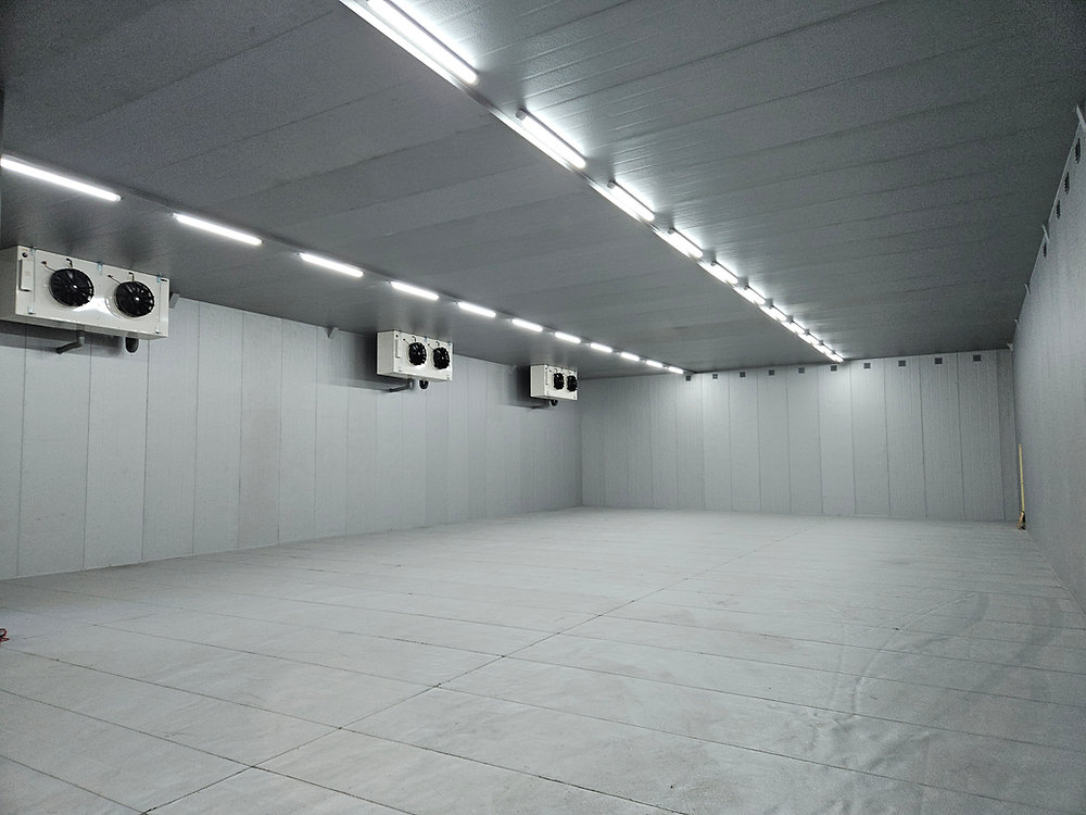 EnChem low temperature electrolyte storage